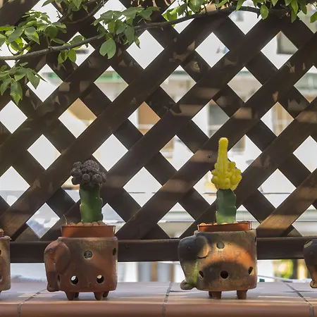 Bed & Breakfast Cerasiello 4*