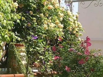 Bed & Breakfast Cerasiello