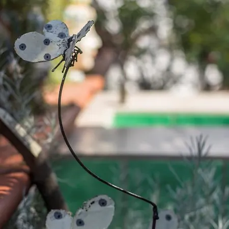 Cerasiello فندق مبيت وإفطار نابولي