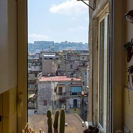 Cerasiello 4*