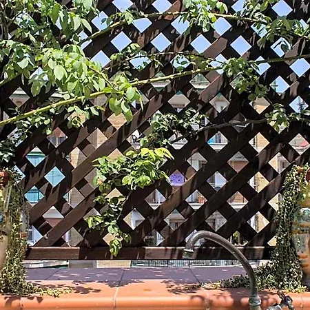 Bed & Breakfast Cerasiello