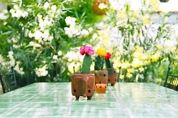 Cerasiello فندق مبيت وإفطار نابولي