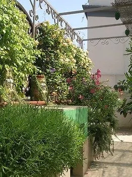 塞拉西罗住宿加早餐旅馆 4* 那不勒斯